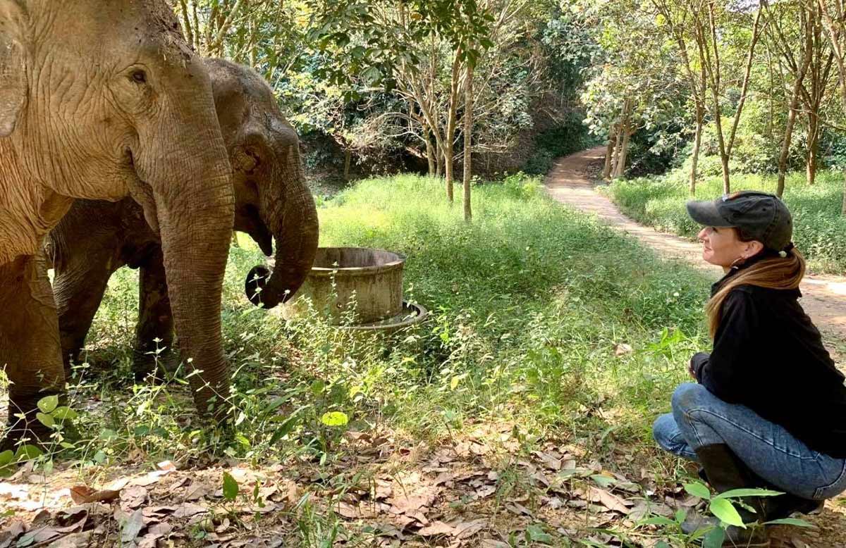Boon Lott’s Elephant Sanctuary Founder story King Living King Living