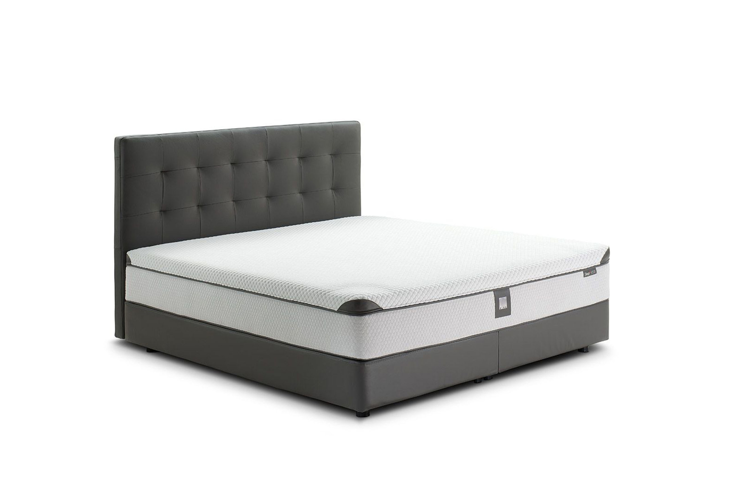 Sleep+ Contemporary Bed Queen Size Bed King Living