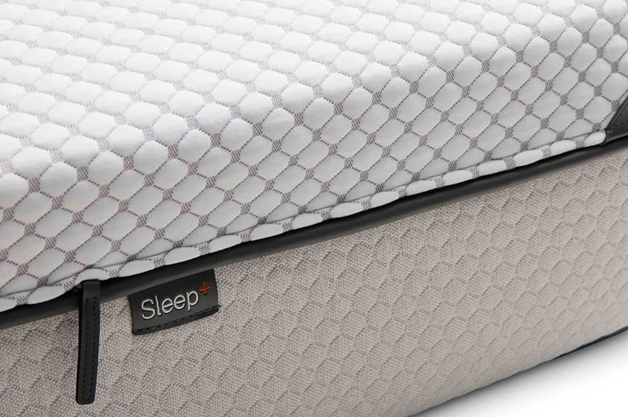 Ipss Addis Is It Ok For Your Dog To Sleep In Your Bed Dog Kennel How